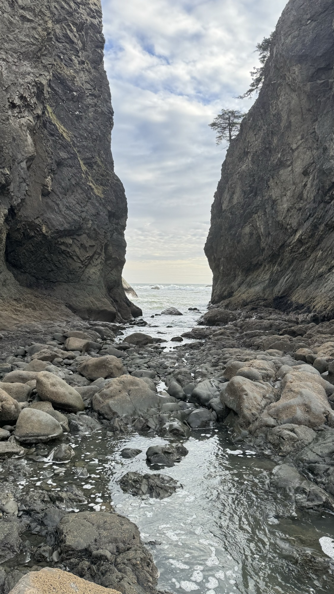 What is Time? ( Olympic National Park)